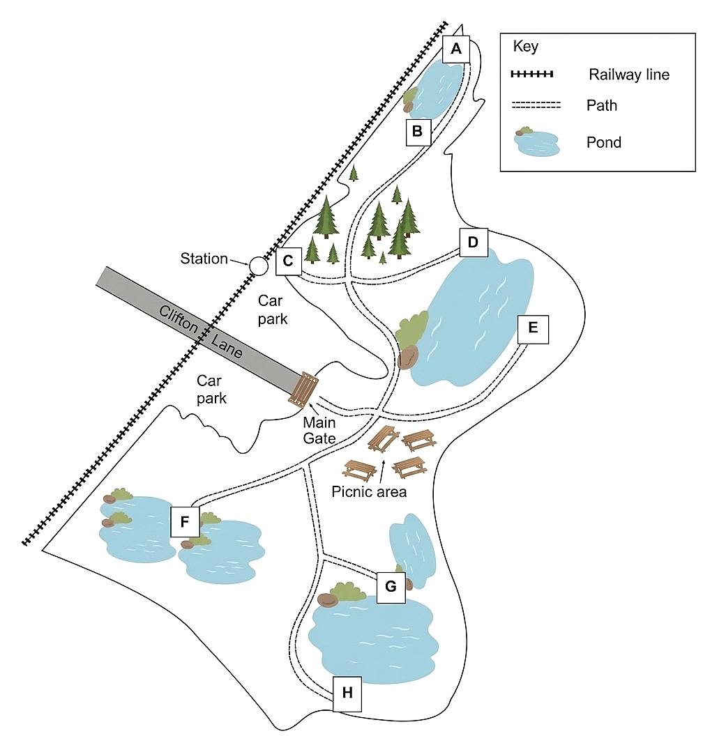Recreated diagram for questions 16, 17, 18, 19, 20