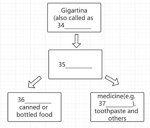 Diagram for reading passage 3