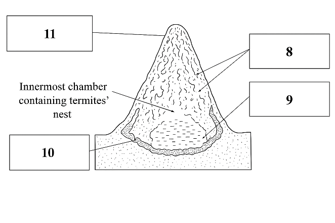 Diagram for reading passage 1