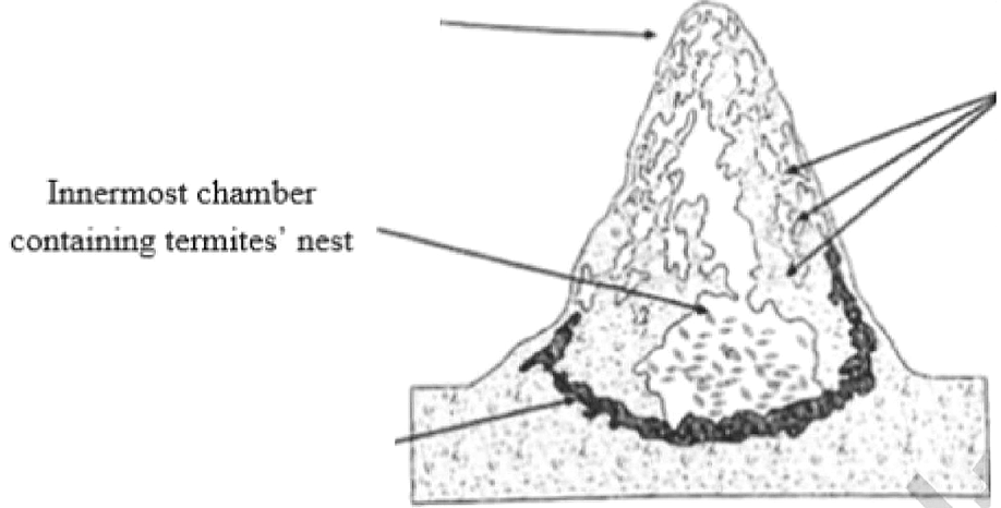 Diagram for reading passage 3