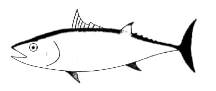 Diagram for reading passage 2