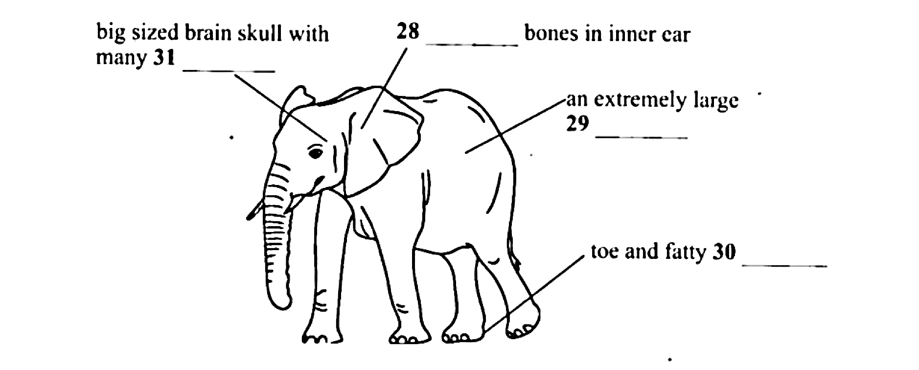Diagram for reading passage 3